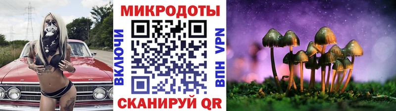 Галлюциногенные грибы Psilocybe  Приволжск 