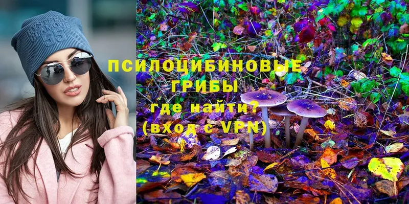 Псилоцибиновые грибы Magic Shrooms  кракен вход  Приволжск 